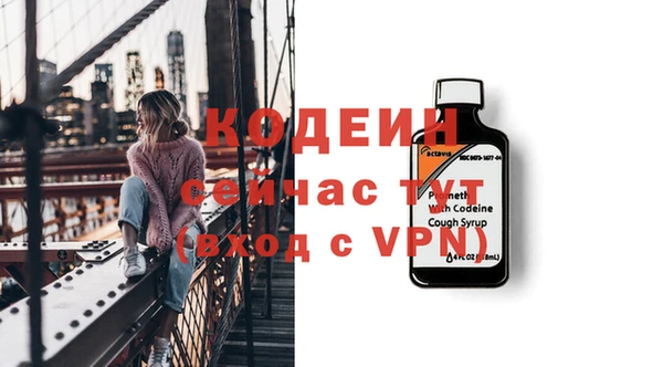 молекула духа Няндома
