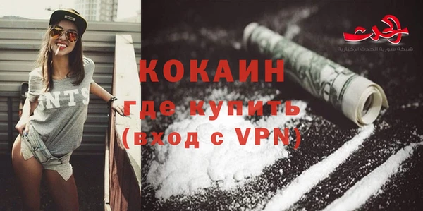 молекула духа Няндома