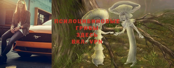 2c-b Нязепетровск