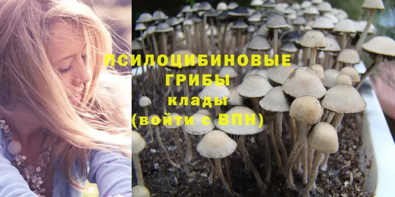 Псилоцибиновые грибы MAGIC MUSHROOMS  Сафоново 