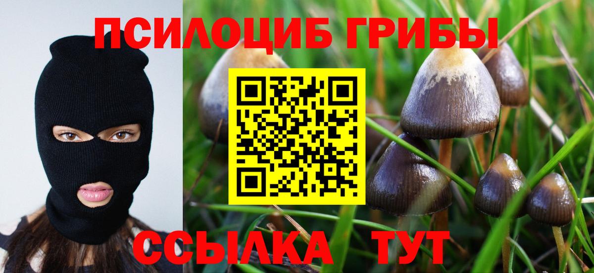 Сафоново  Псилоцибиновые грибы Magic Shrooms  Вход с VPN 
